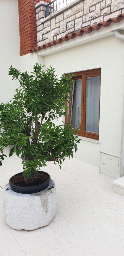 Appartamento Haus Silvia Rovigno Esterno foto